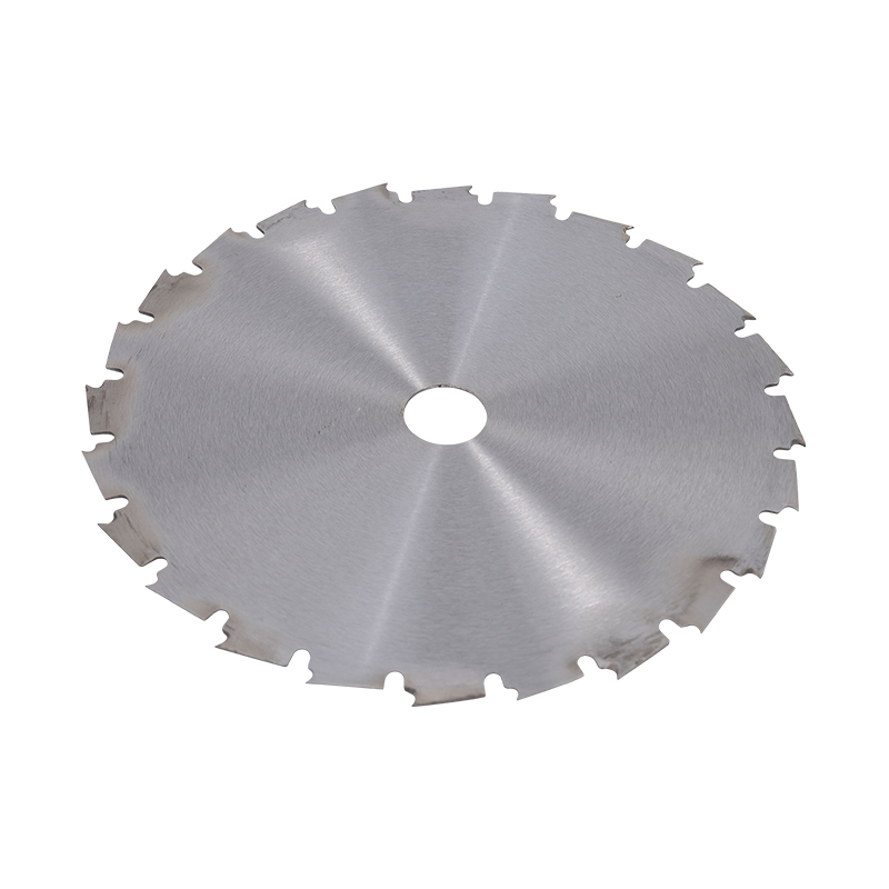 Disk s 24T